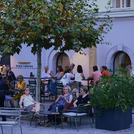 Zlata Ladjica Boutique Hotel-3